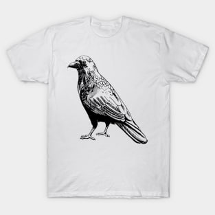 raven T-Shirt